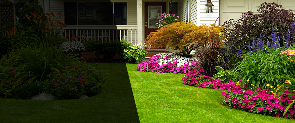 Joelton Landscapers